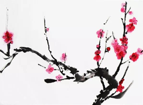 “梅迷”踏雪尋“梅”所為何？